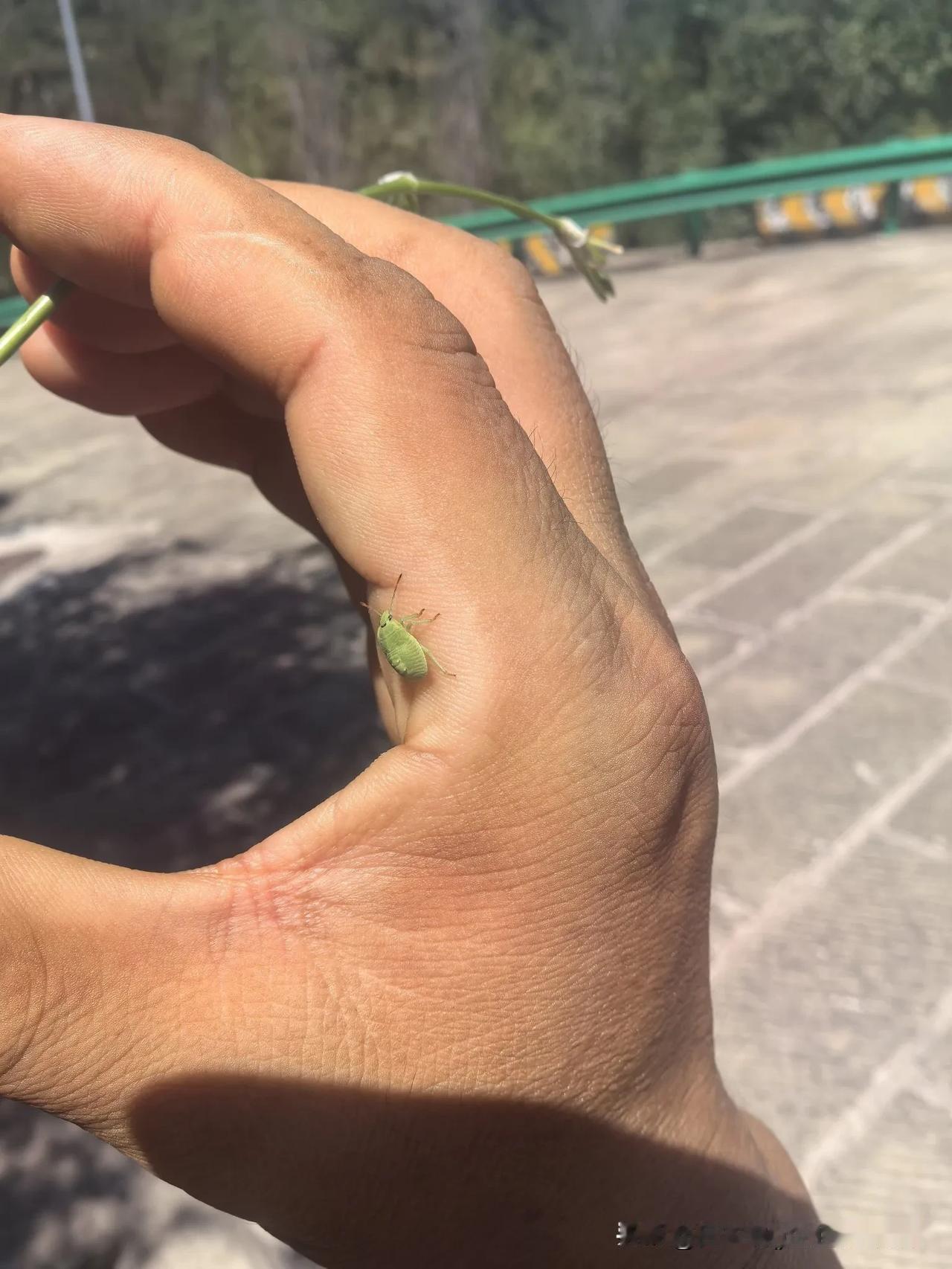 在单位里，平时可能你兢兢业业，并没有考虑太多，当机会出现的时候，往往很容易错过去