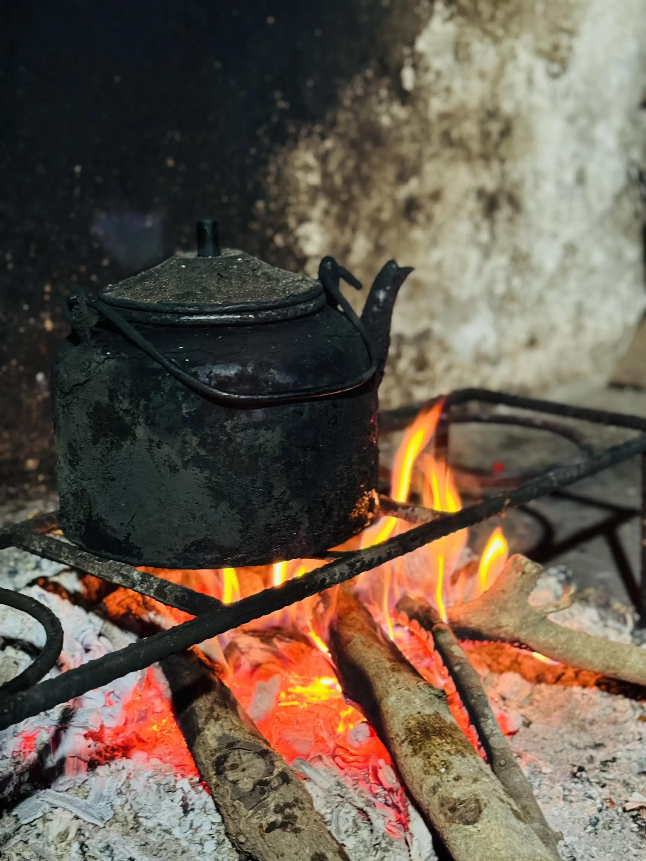 2026，策马扬鞭，奔赴山海！愿我们：马不停蹄，奔赴热爱；马到成功，万事胜意！