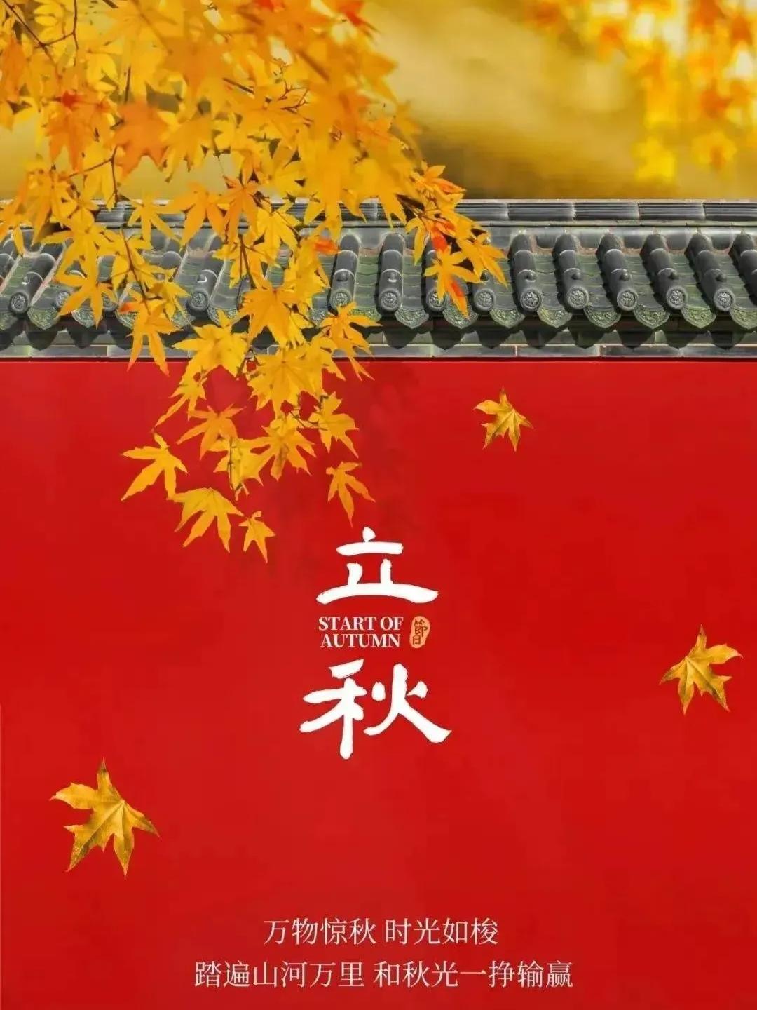 才觉盛夏炽热，转瞬立秋已至。8月7日立秋，宛如一场悄然的过渡。虽名义入秋，体感仍
