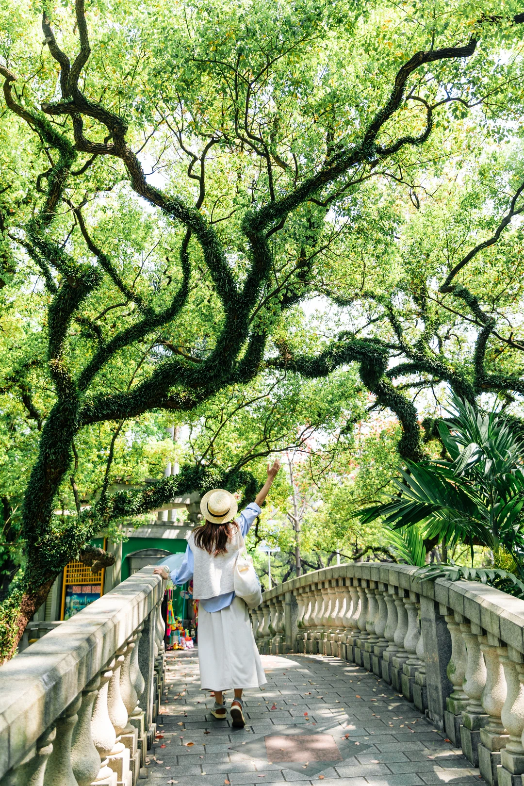 佛山生命力公园🌿 我愿意来千千万万次 ‼️