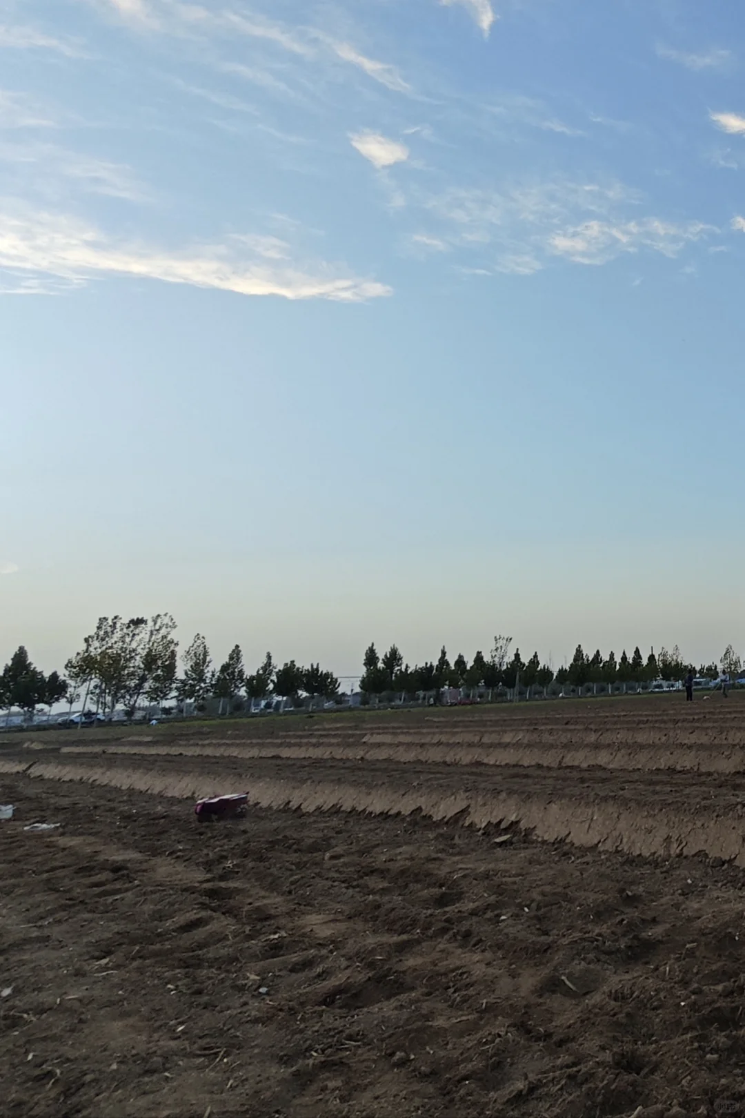 我对土地的热爱！