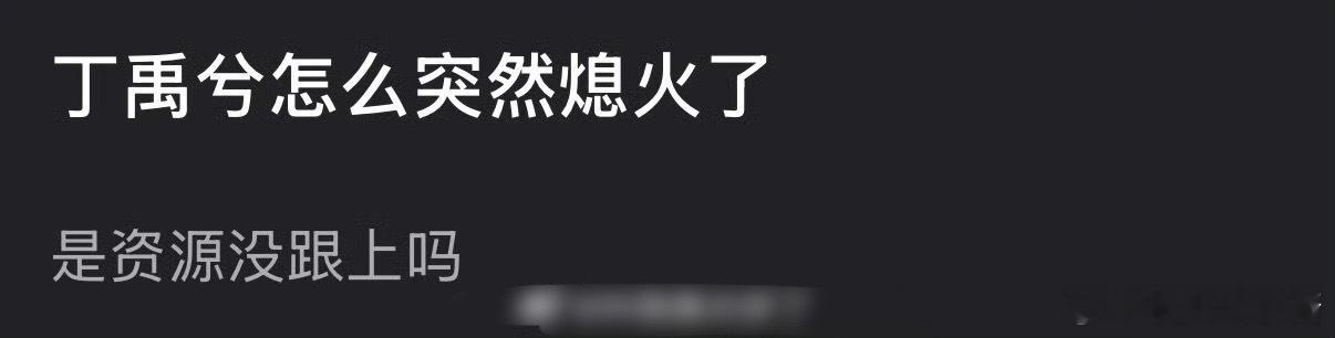 丁禹兮flop这么快是因为资源没跟上吗 