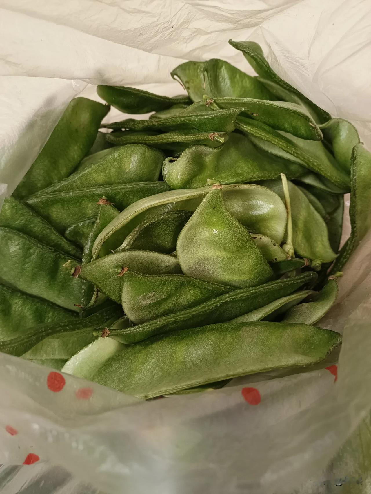 婆婆比老公都好的有没有？
俺老公回老家几天了，老家开始种麦子了。他一个电话也没给