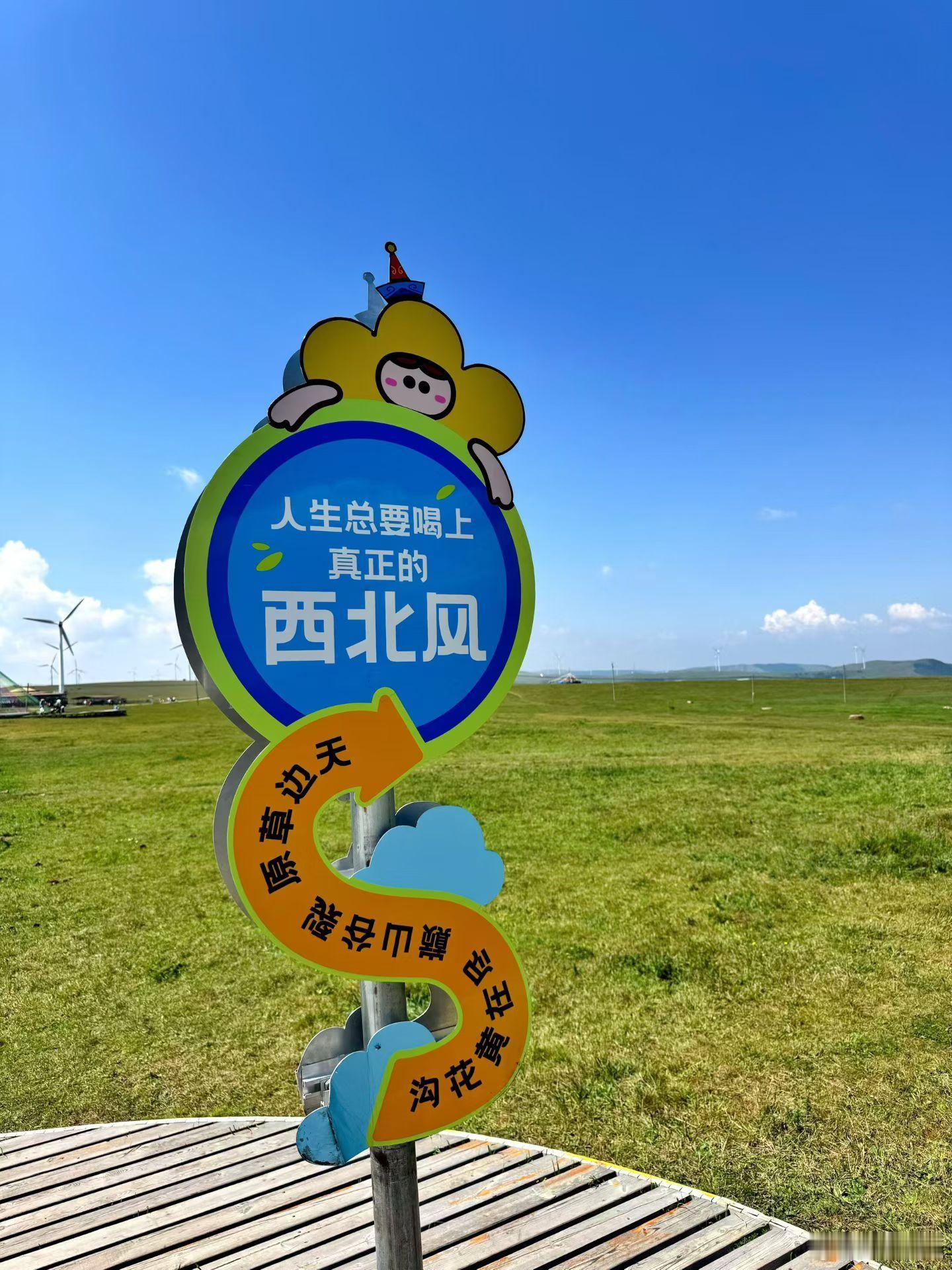 察哈尔右翼中旗，辉腾锡勒大草原。人生总要喝上真正的西北风。免费的，必须多喝两口