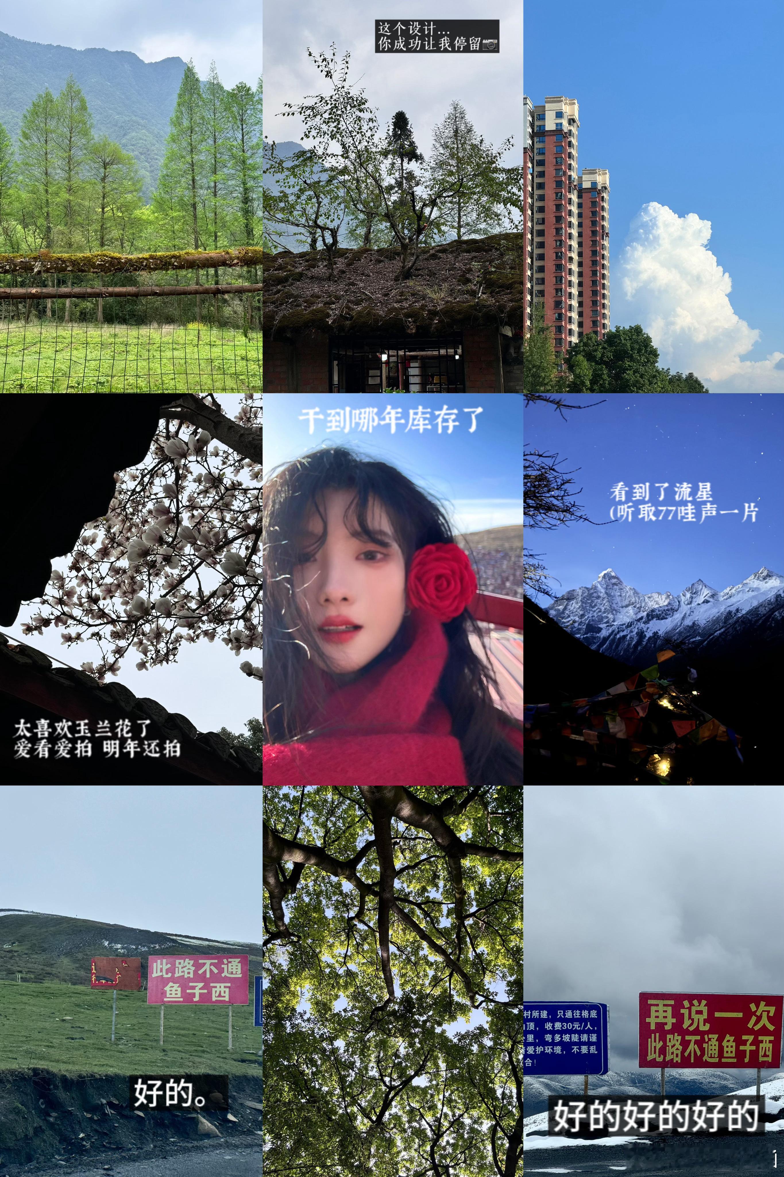 分享81张 ​​​