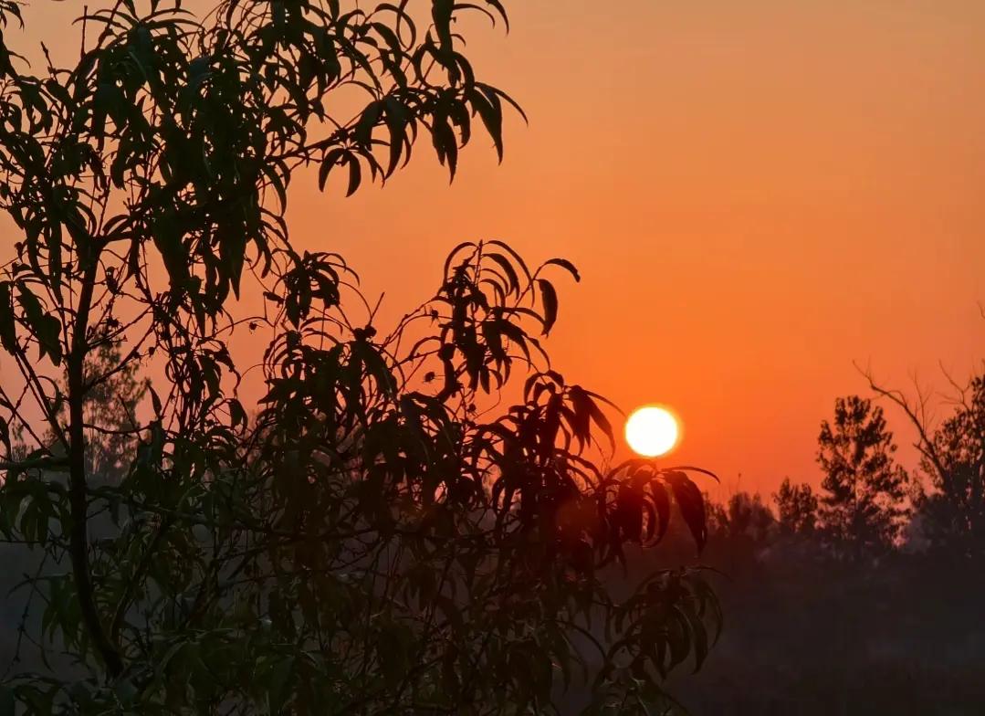 我们依然是夫妻，却已不是爱人了，目前，维持这段婚姻的不是爱情，而是对孩子的责任。