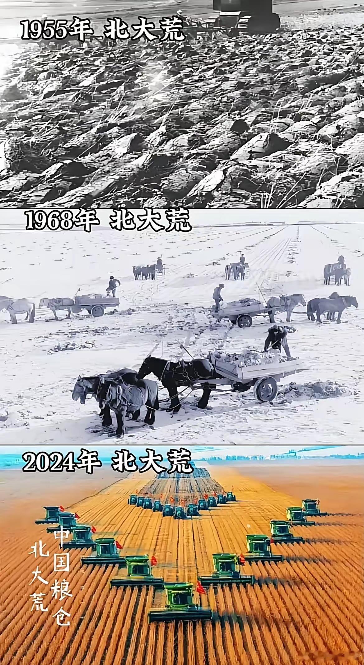 各年代的北大荒对比。 