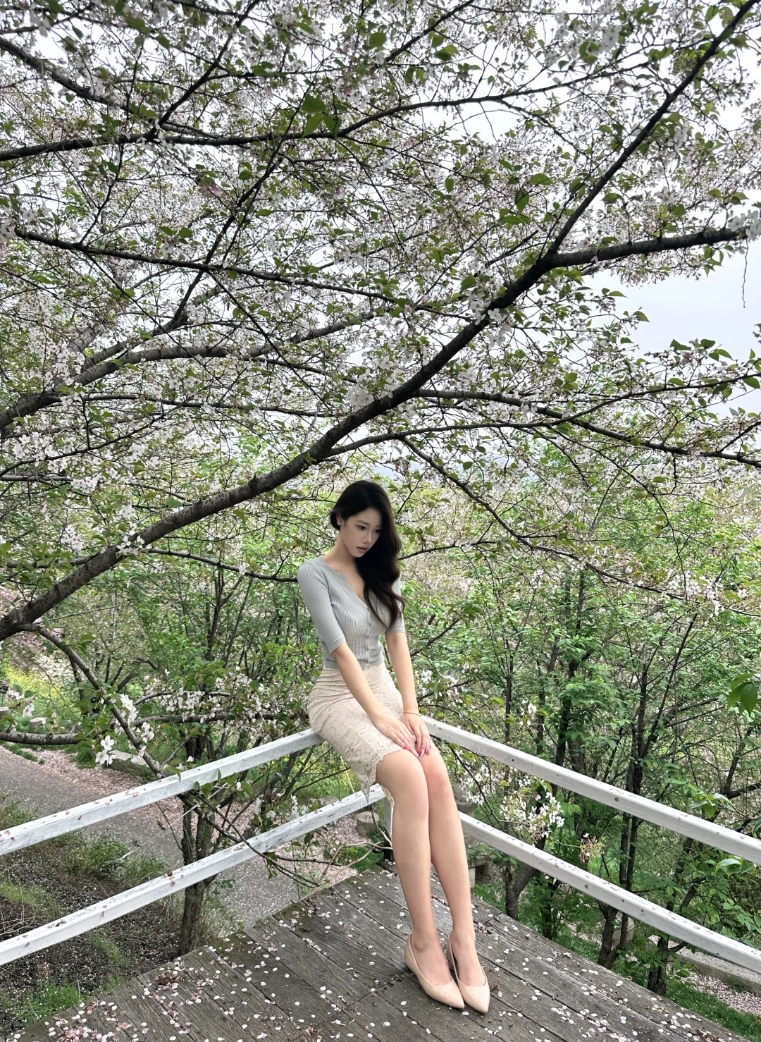 姐姐