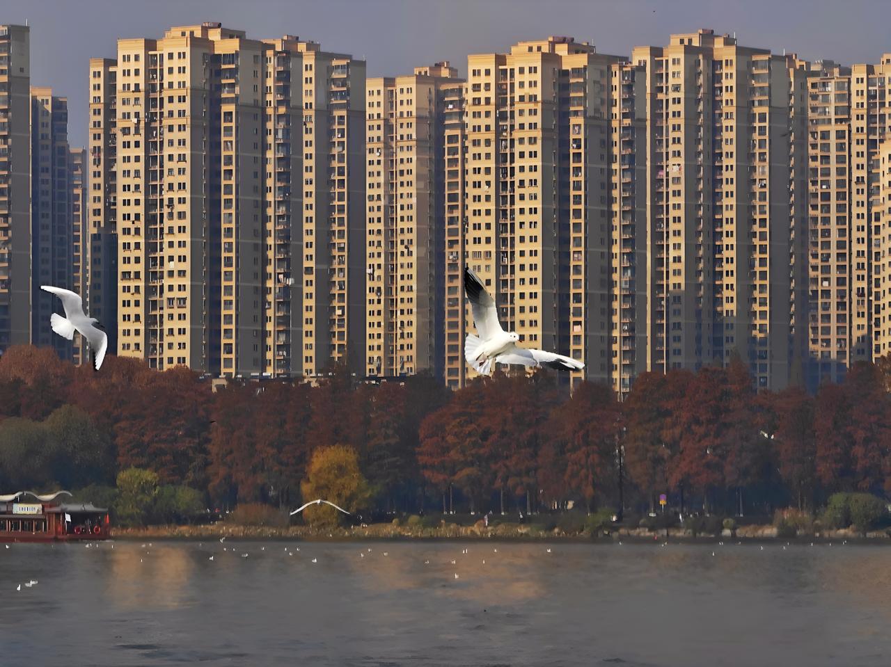 趁着周末天气好，逛一逛武汉东湖。