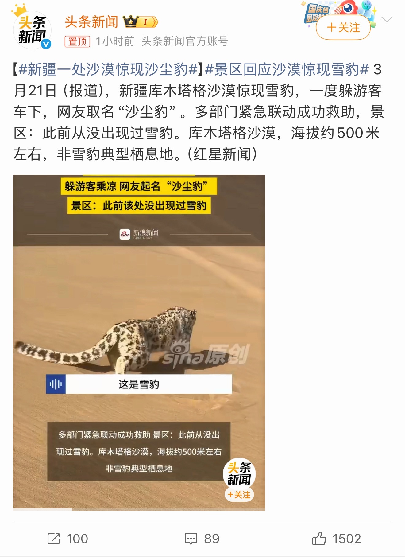 新疆一处沙漠惊现沙尘豹雪豹是独居动物，它们生活在自己的领地内，研究表明，成年雄性