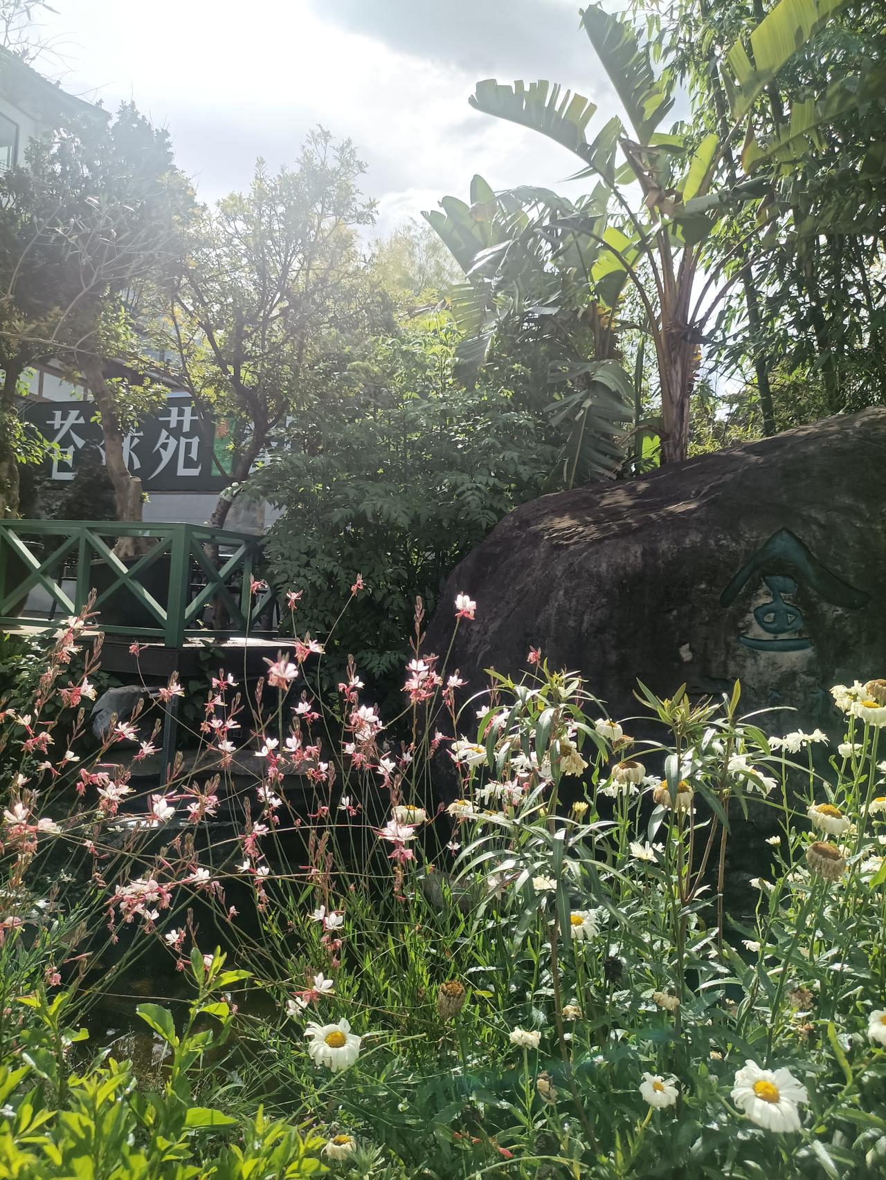 你认为云南大理哪里的风景最美