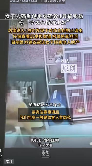 沈阳，一女子进入一家猫咖店，趁店员不注意，使劲捏一只小奶猫的喉咙，还将小奶猫拧成
