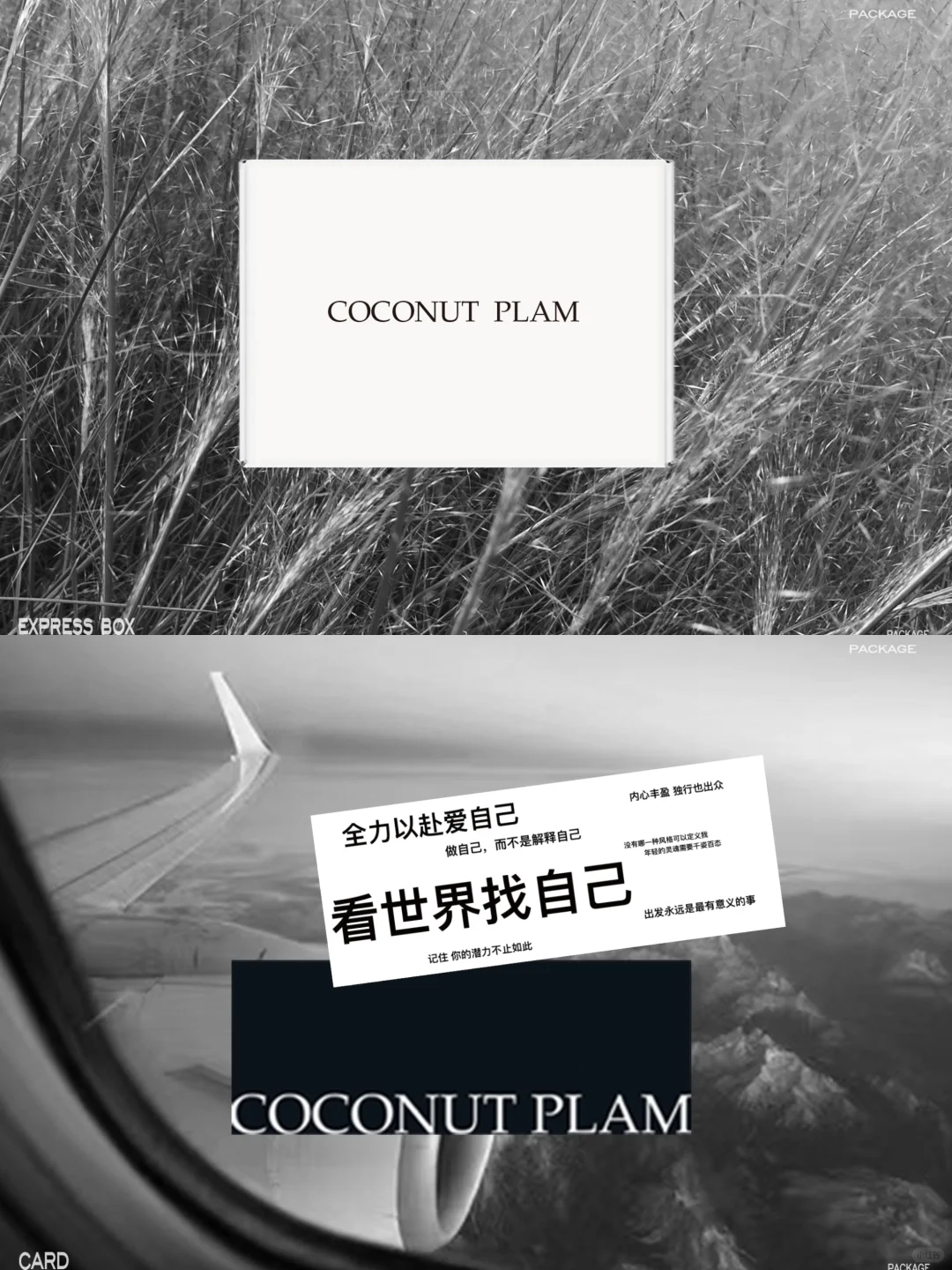 COCONUT PLAM | 视觉新升级