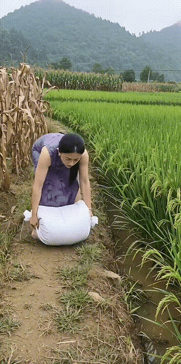为了流量，无所不用其极。装傻充愣、丑态百出，真的不知道怎么想的！