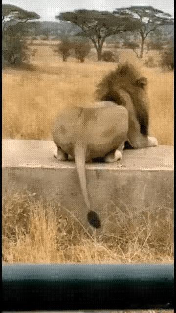 蛇精病啊
再大也受不起这刺激