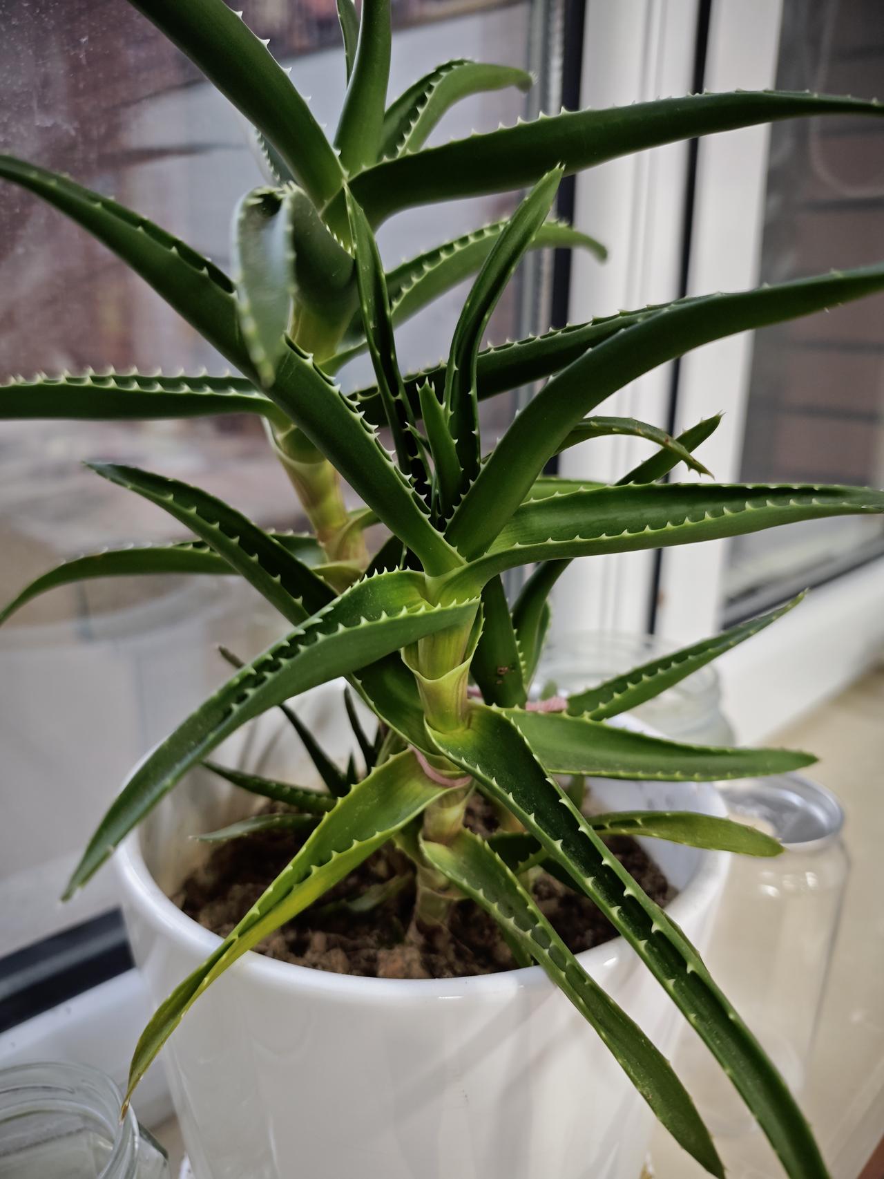 我发现最近淘宝有一些店为了减少退货会协商给你补贴，有的能给到15块钱，这利润真的