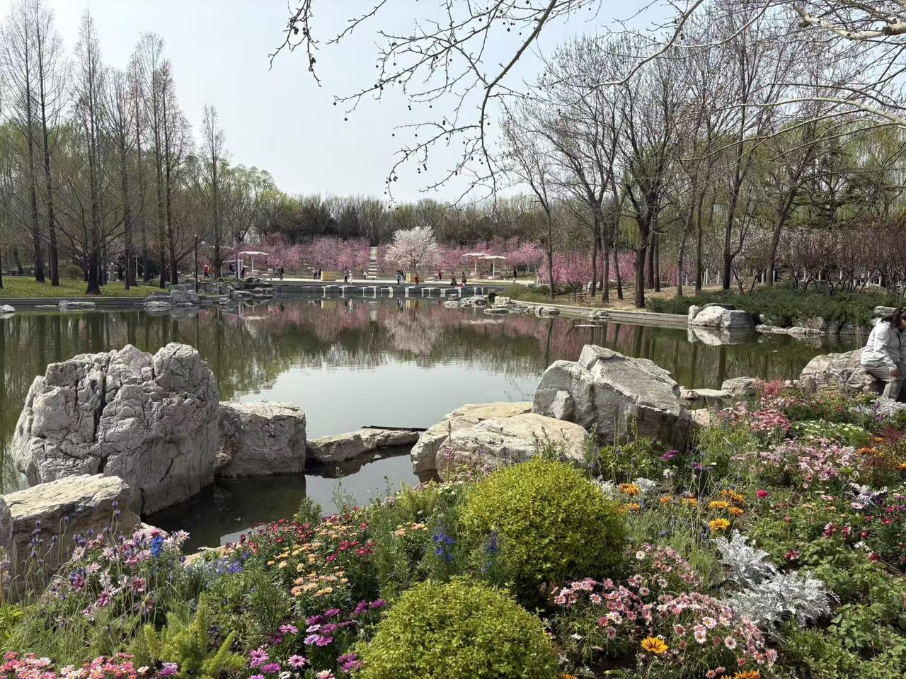 今年春天最想实现的心愿在北京附近每天走走，美丽风景无数，这就是最简单的美好心愿