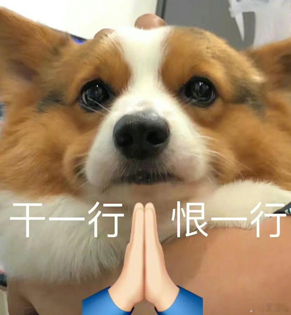 很奇怪，今天办公室里的欢声笑语突然多了起来，我一看时间，原来是周四到了[doge