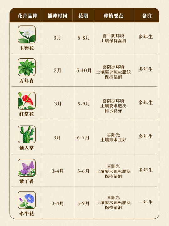 春天花卉播种日历表?阳台秒变小花园