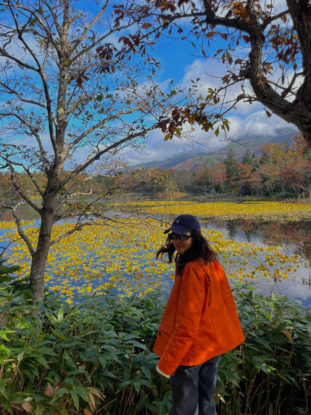 我是在莫奈的油画里吗？
