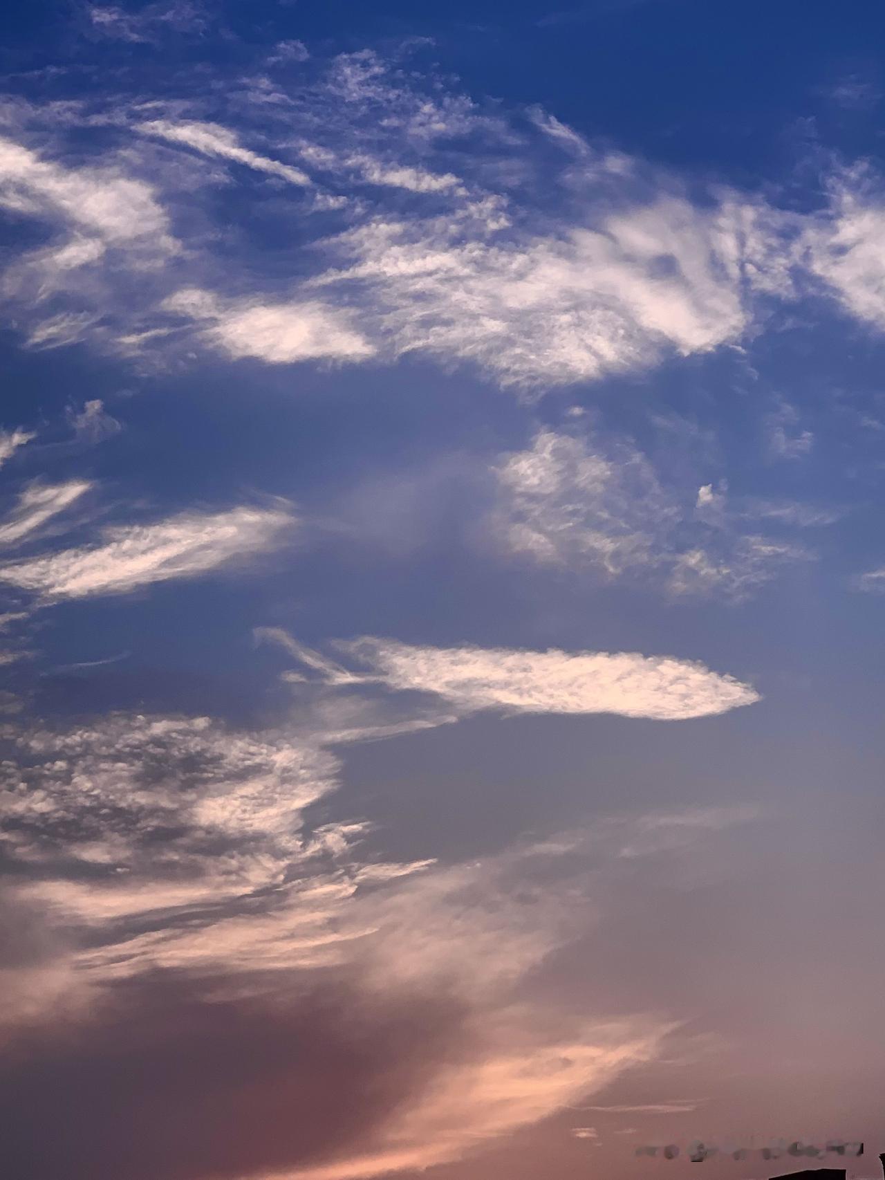 夏日随手拍今晚的天空非常美。随手拍