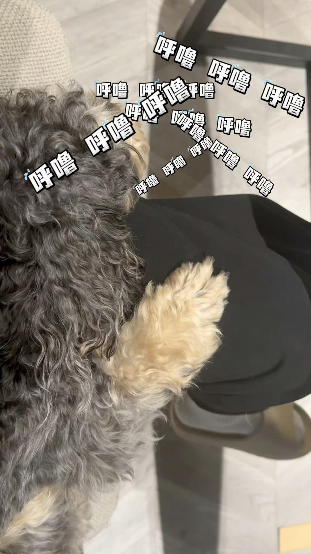 omg怎么把我们男明星的床照给发出来了[惊恐] ​​​