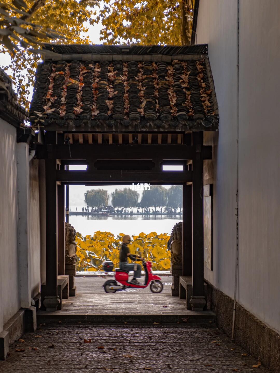 一天玩转杭州西湖！终于有人把路线说清了！