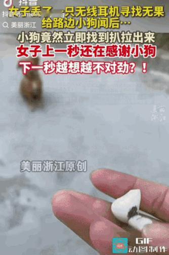 这操作真让人憋火！
女子丢了无线耳机，
居然反过来怀疑帮她的小狗？

她自己找了