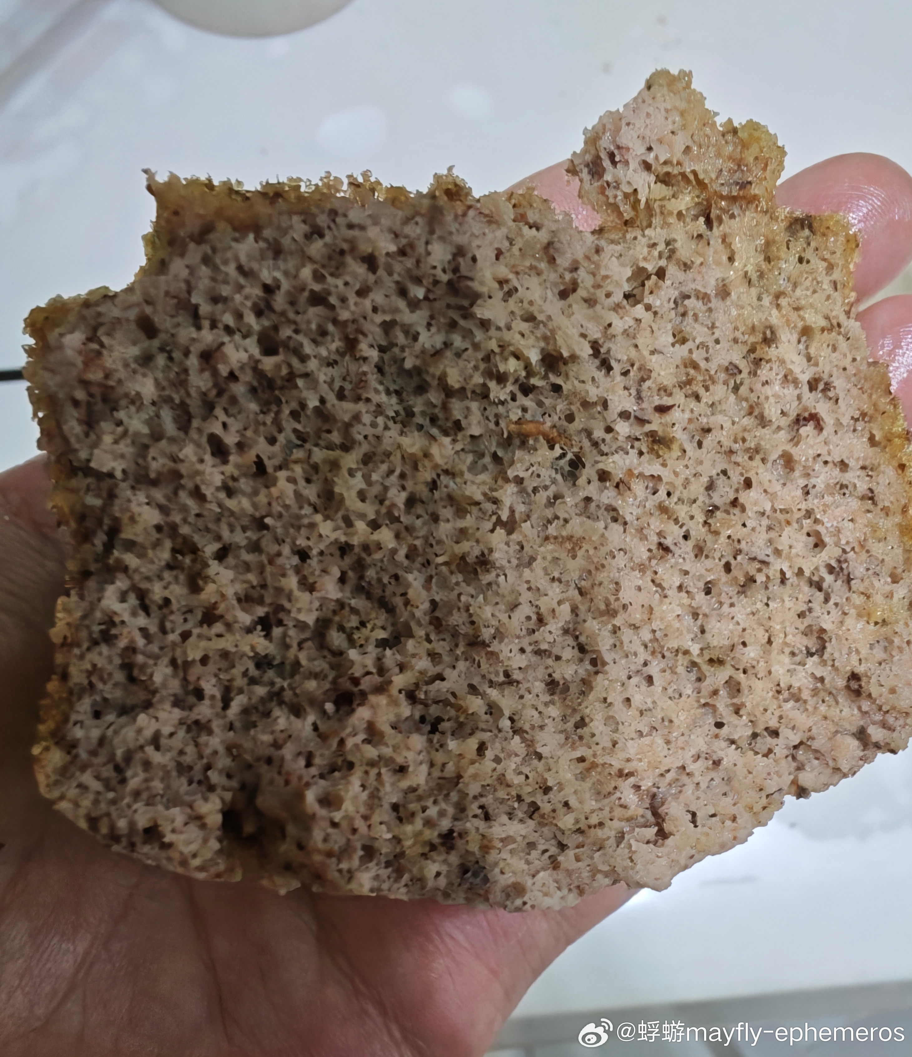 解锁了一种新辅食超级快手成功率高而且很香香核桃红枣蒸糕核桃红枣加鸡蛋打发上锅蒸就