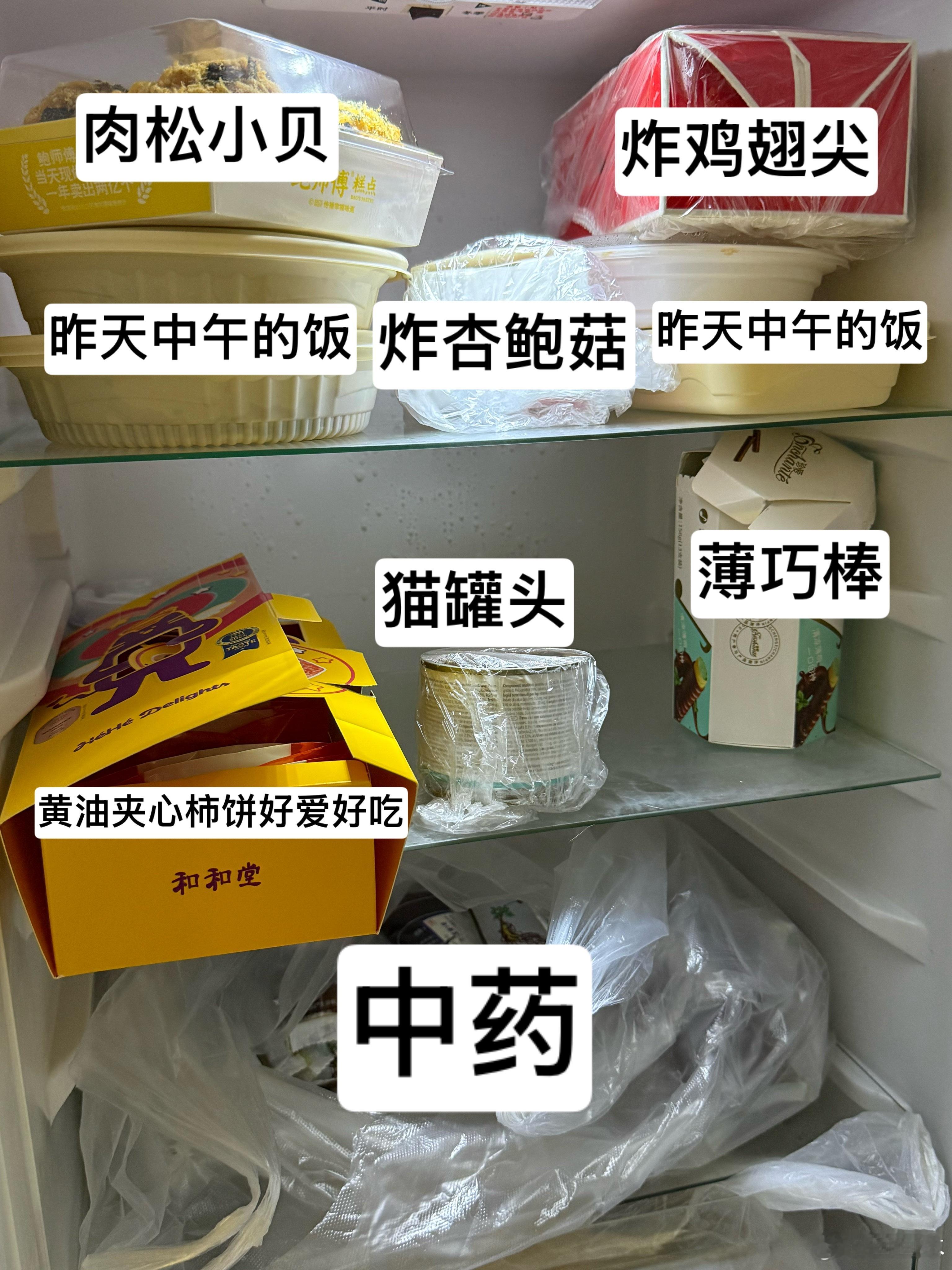 偶的冷藏层 