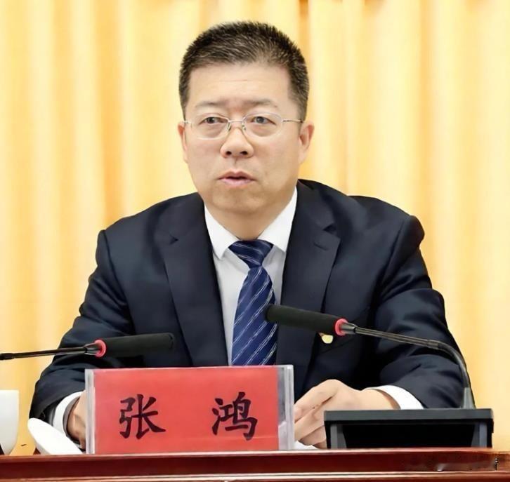 从主政一方的区委书记，到守护民生底线的民政副厅长，张鸿终究没能兜住自己的底线
 