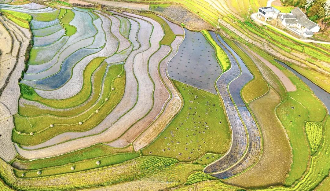 【话留三分软，事到五分满，既是尊重别人，也是保护自己；嘴下留情，心中留德，言语有