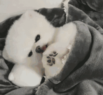 精力有限，在需要先好好爱自己的时候别急匆匆地去爱别人。#晚安#