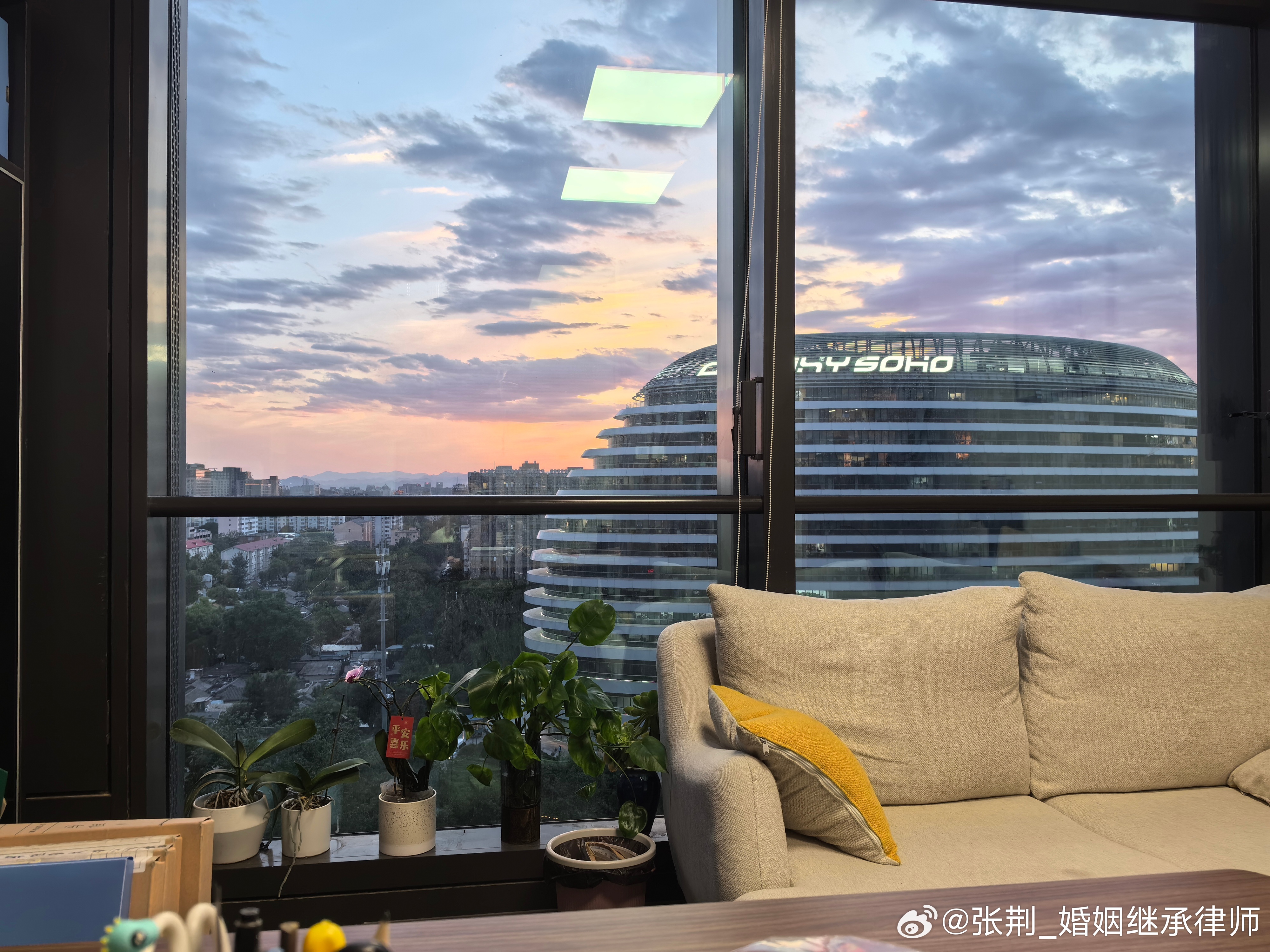 98岁的原告起诉离婚，真的是他本人的意愿吗？人年纪大了，连生活中拥有个伴儿的自由