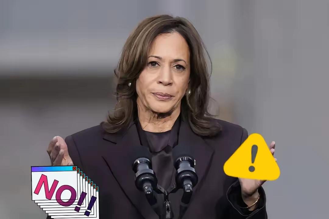 美国前副总统发表声明了！
​当地时间1月3日，美国前副总统、前民主党总统候选人哈