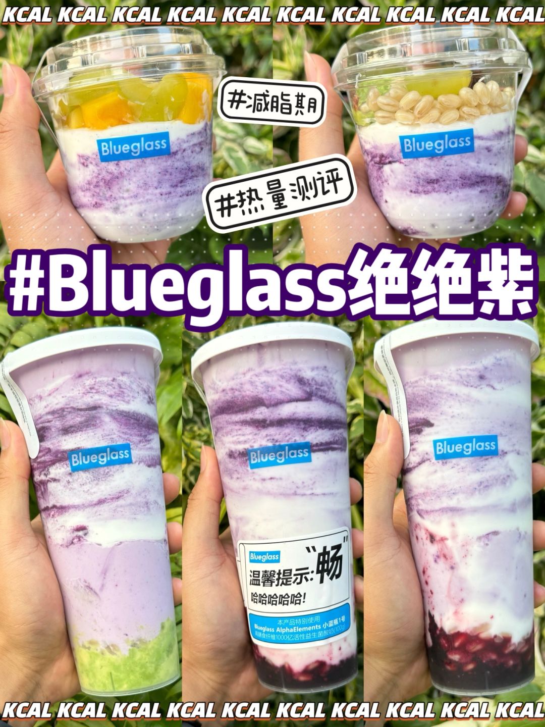 blueglass新品热量‼️不老莓🫐全系列大测评