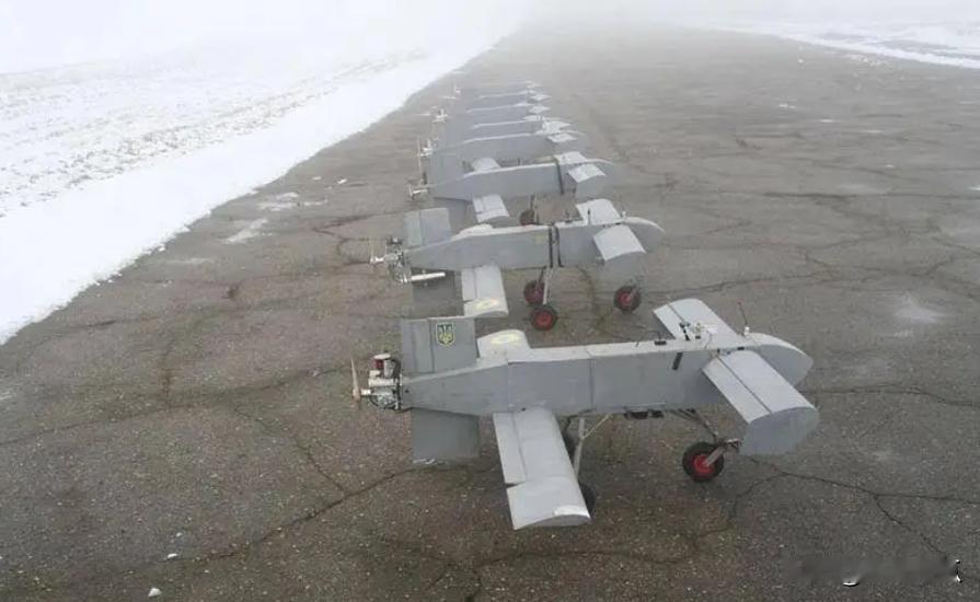 11月10日，俄方称击落了84架入侵本土的固定翼巡飞弹，用的是电子干扰和防空系统