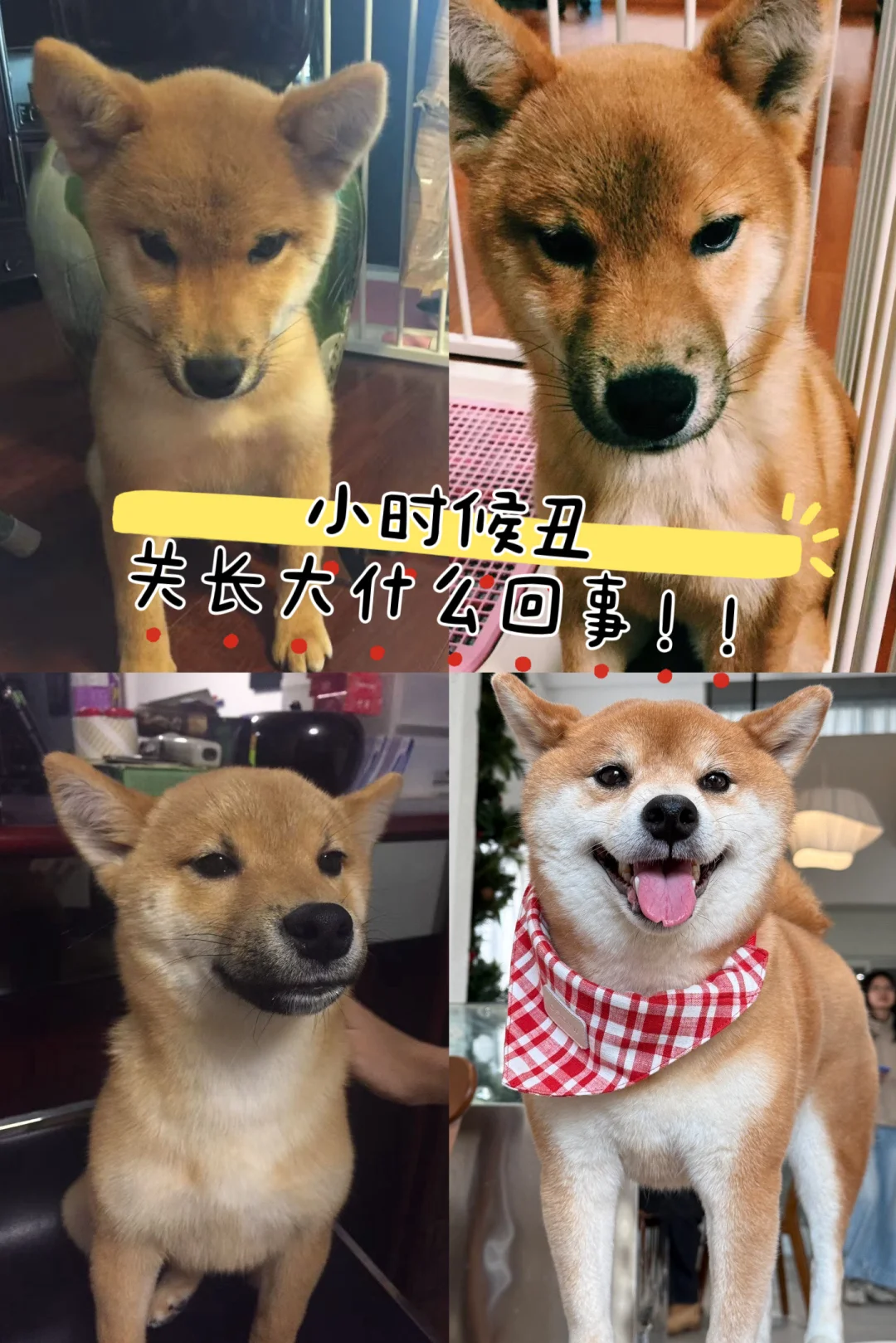 小时候丑关长大什么回事啊？！！