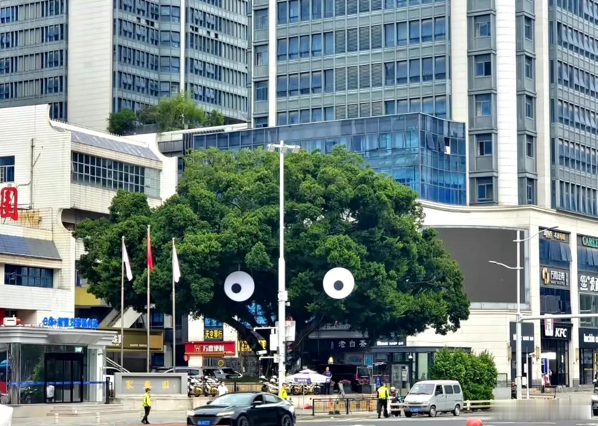 挂了不到一周 福州东街口“大眼睛”树被拆除

相关部门表示，这棵榕树为百年古榕，