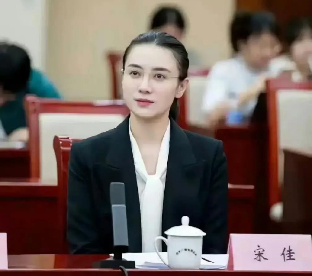 宋佳演出了那种家长眼中的好孩子，死党心中的同类的感觉，叛逆期到了的初中生往往就是