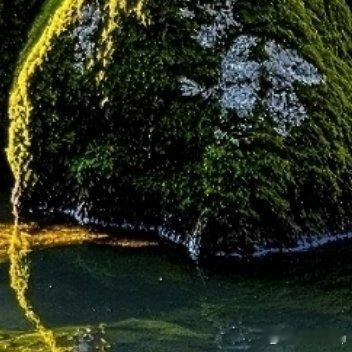 ♡ 𝙂𝙞𝙫𝙚 𝙮𝙤𝙪 𝙩𝙝𝙚 𝙗𝙚𝙨𝙩🌙时光温柔，