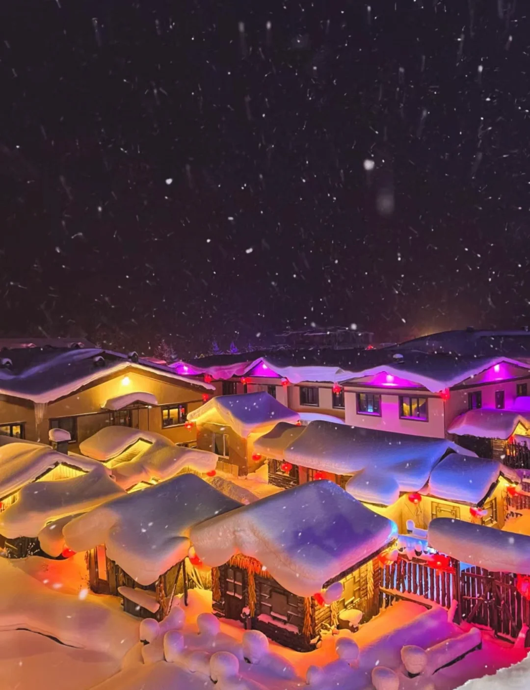 📍11-1月去雪乡避坑||永远不删