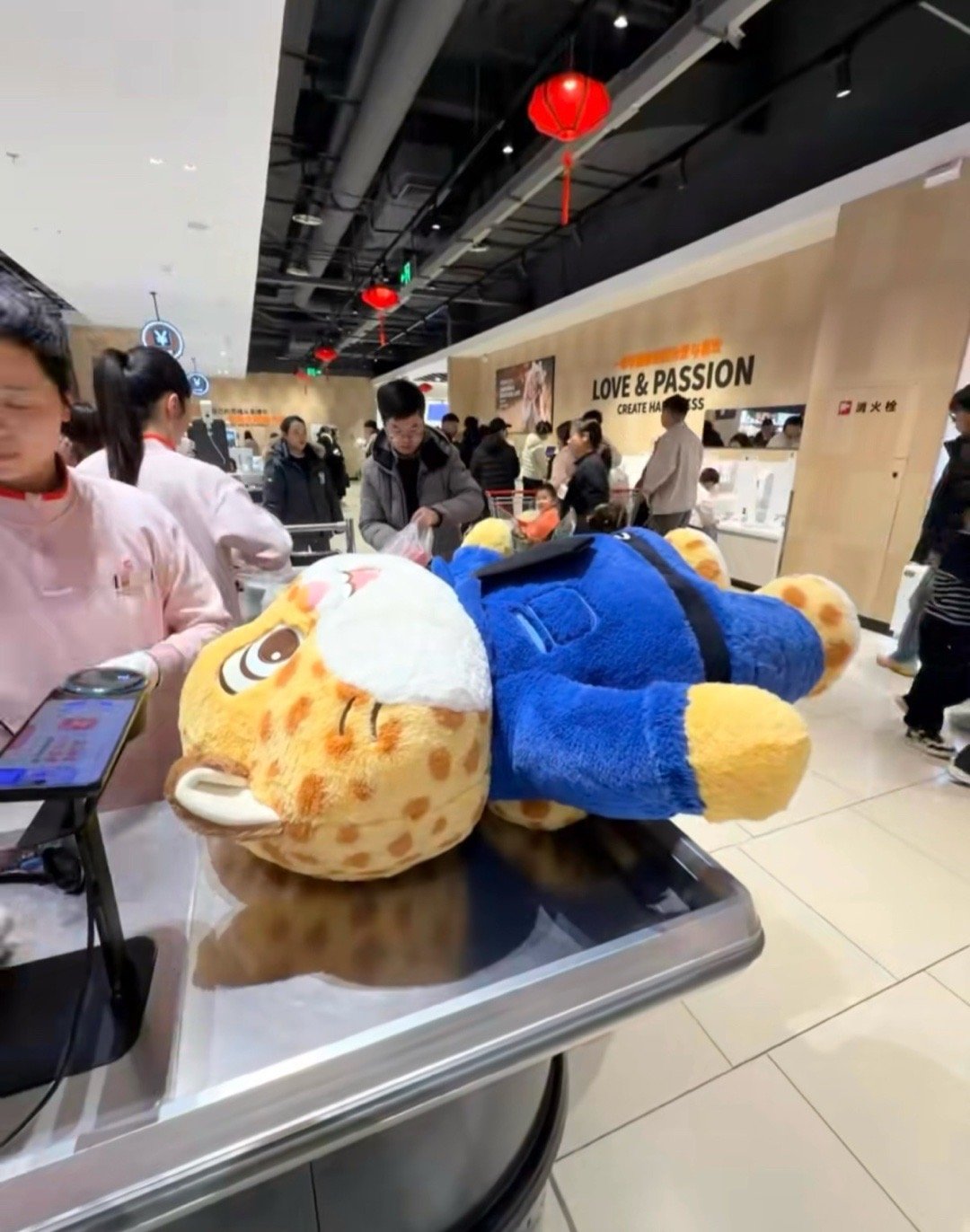 谁不想拥有一只超大的豹警官🐆 