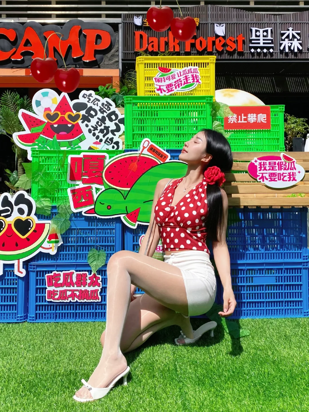 欢迎来到大西瓜🍉的世界！