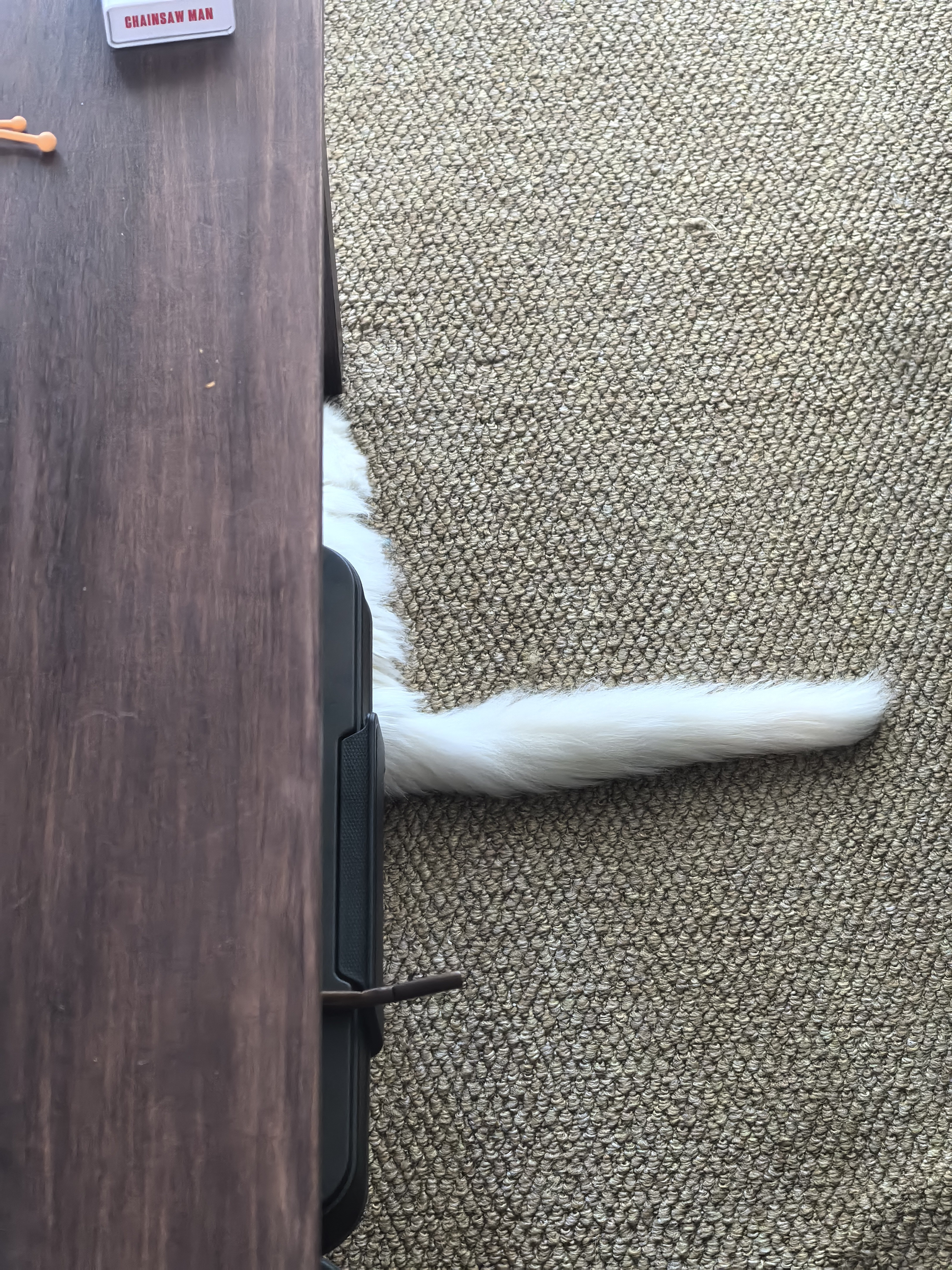 这尾巴不是你的了是吗？就这么摊在地上。信不信我一脚……