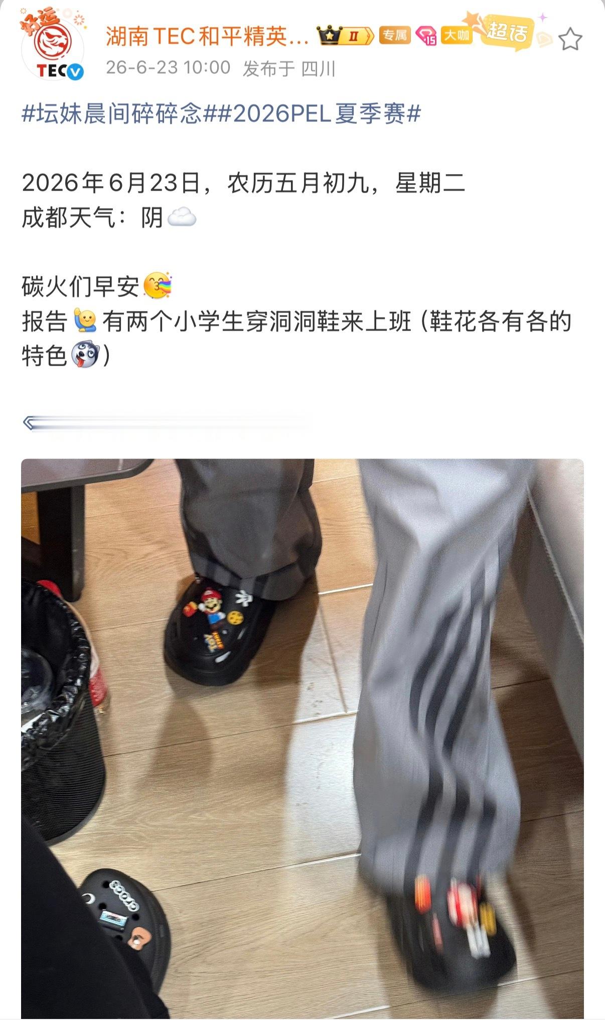 体坛电子竞技俱乐部  好可爱的鞋花！求链接2026pel2026pel夏季赛