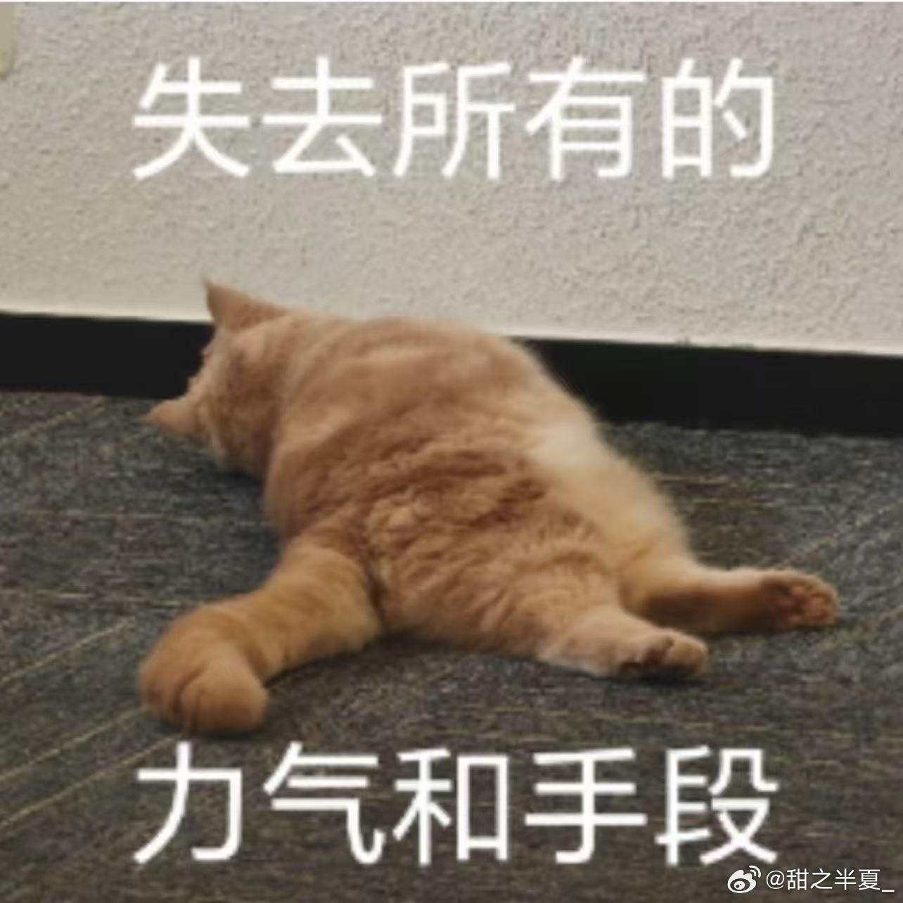 不法分子借健康焦虑套路老年人，AI造假、假扮干儿子推销假药屡见不鲜。京东上线首个