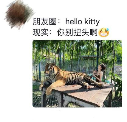 strong才是第一生产力 ​​​