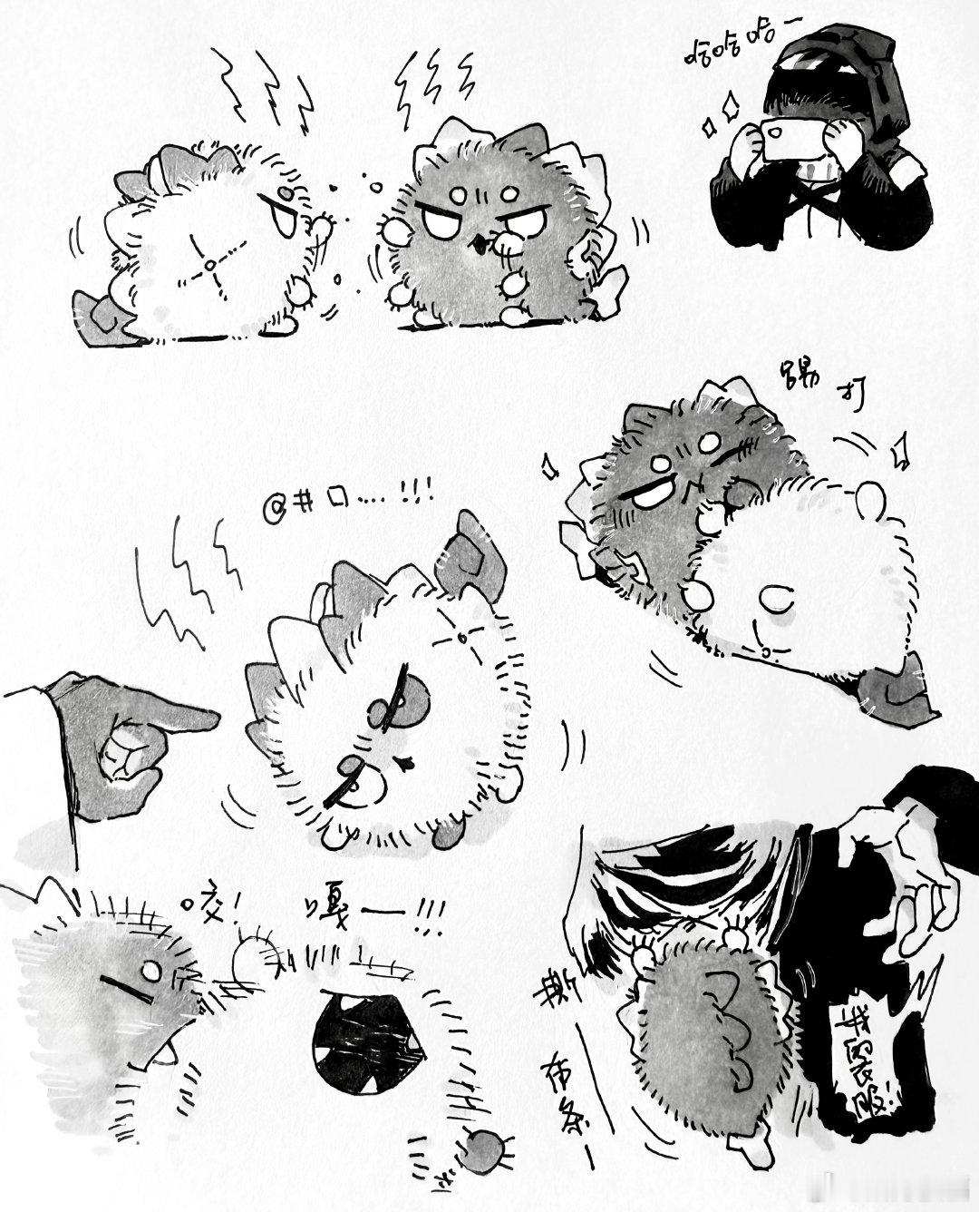打架，但博士不许大动干戈。 