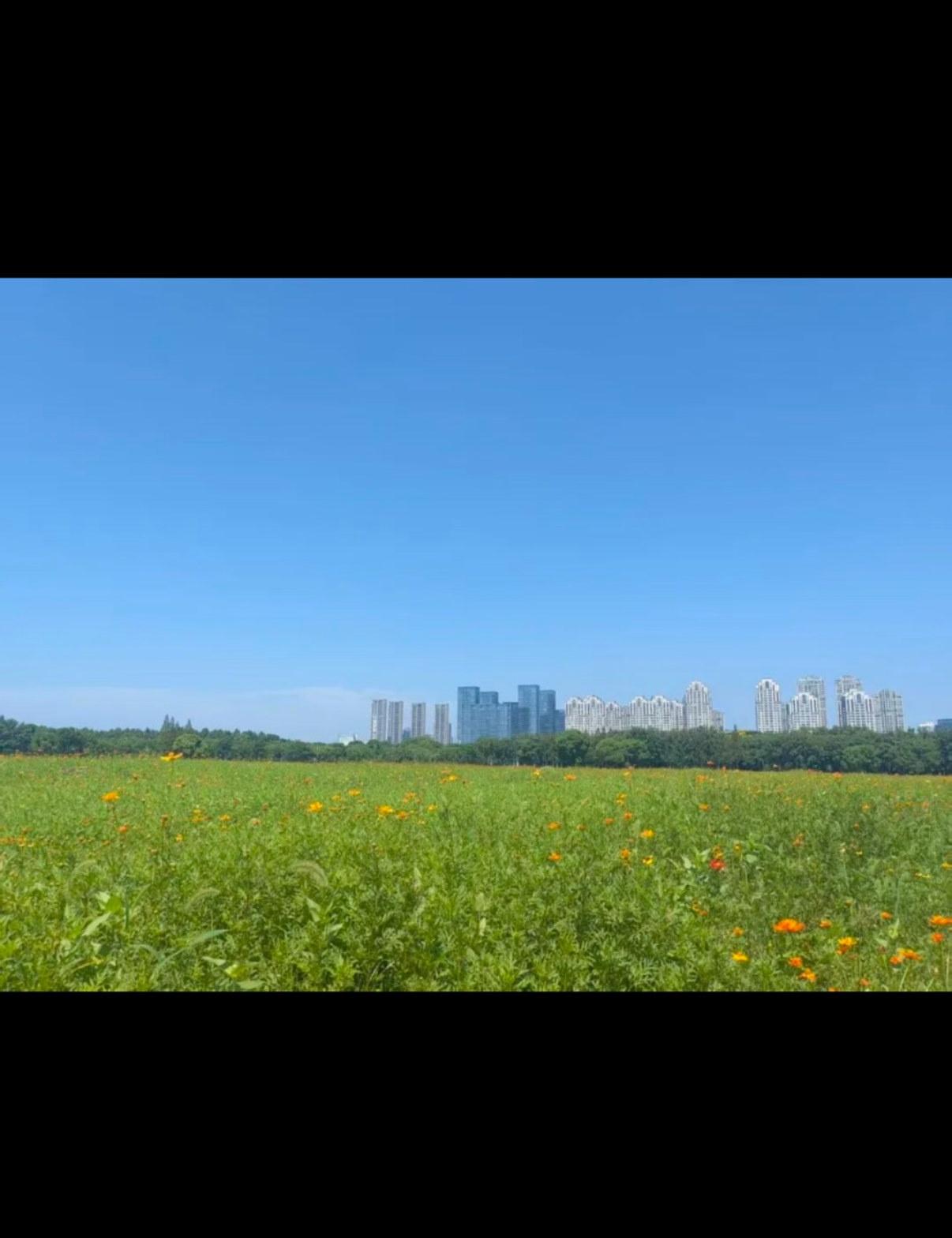 强强联合！
无锡再添一所新中学
👇
上海外国语大学附属
无锡滨湖实验中学
该校